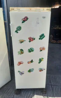 یخچال تکدر فیلور سالم