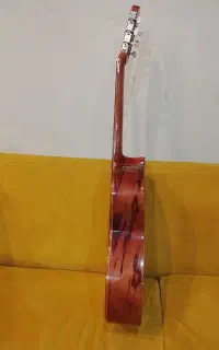 گیتار ایرانی آگرینA200