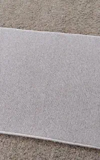 پادری پالاز نو نو