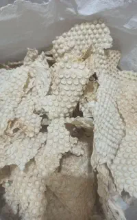 نان خشک کیسه ای 300 تومان