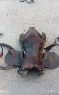 زین و دهنه