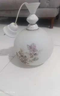 لوستر نو