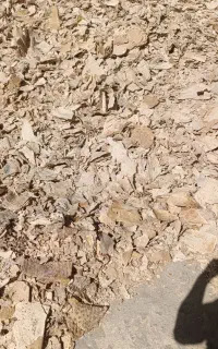نان خشک فروشی تناژ .