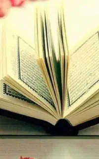 سر کتاب سید