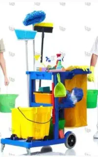 خدمات نظافتی پالوم