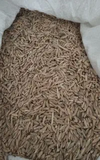 فروش جو دیم