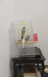 قفس پرنده متوسط