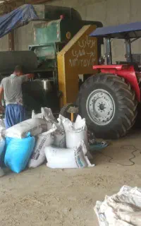 بوجاری گندم جو سیار