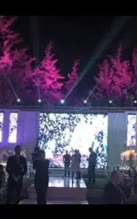 تشریفات و باغ تولد، مجلس عقد شیراز ،دیجی،فینگرفود