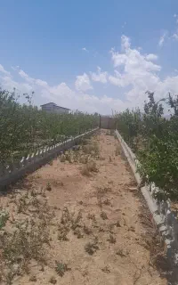 کود اوره سفید