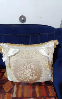 12عددپشتی درحدنو