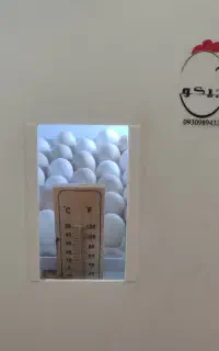 دستگاه جوجه کشی صحیح سالم
