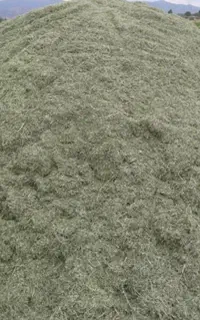 یونجه وعلف خرمن کوب شده