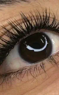 اکستنشن مژه ، لیفت و لمینت و کاشت هیدن
