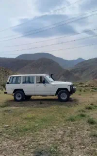 پاترول