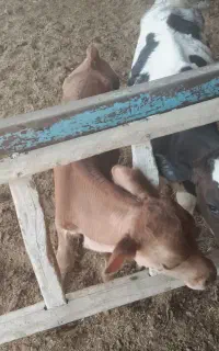 فروش فوری