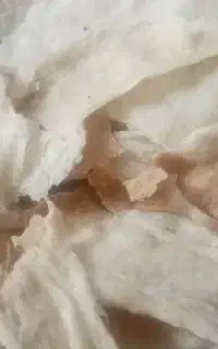 نان خشک