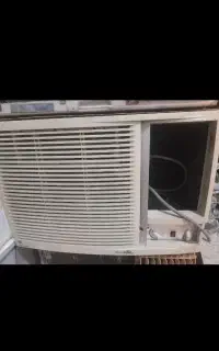 کولر و کالباس بور