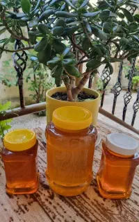 عسل طبیعی اشکور
