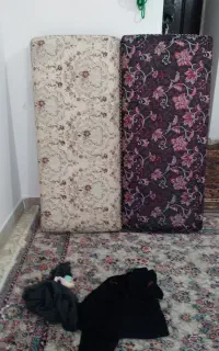 پشتی