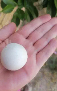 سنگ الماس آسیاب