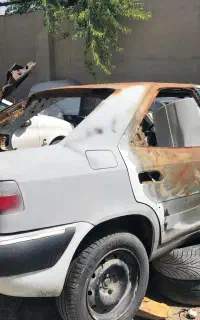 زانتیا تصادفی