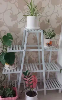 استند گل