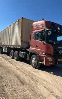 دنگ فنگ سرو ته