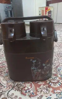 فلاکس دوقلو