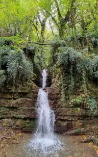 تور یک روزه شمال