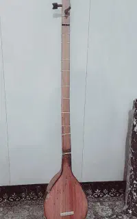 سه تار سالم
