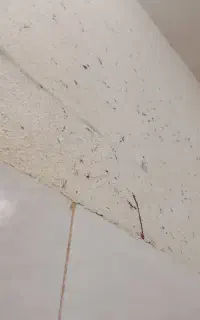 باسلام نیازمند سرویس مدرسه هستم .دخترو پسرم .