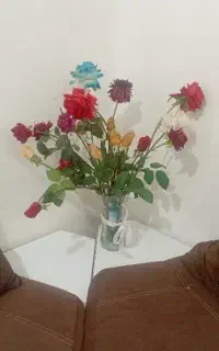 کمکی در تمیز کاری منزل