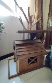 خانه چوبی حیوانات خانگی