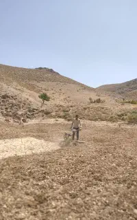 تیلر زنی بیرجند و حومه