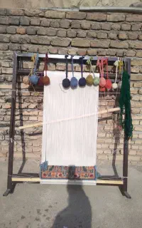 دارقالی جفت پشتی