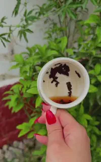 فال آنجل