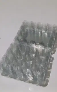 ظرف ۱۲ تایی تخم بلدرچین