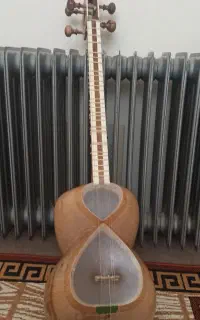 تار شیرازی نو