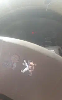 ۴۰۵ مدل۹۳ سینه سوناتایی رینگ اسپرت