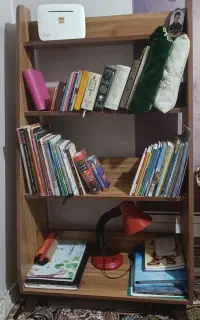 کتابخانه و استند گل