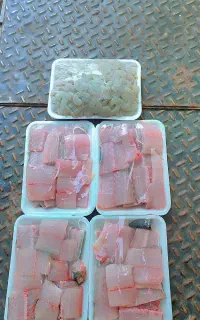 ماهی و میگوی جنوب