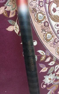 لنسر ماهیگیری یانگ سانگ کره
