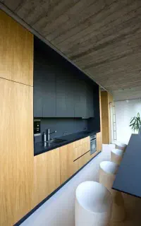 نیازمند طراح حرفه ای کابینت و دیزاین داخلی(خانم)