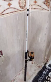 لنسر نو