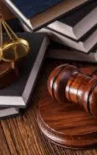 وکیل پایه یک دادگستری،مدیر عامل موسسه حقوقی عدالت