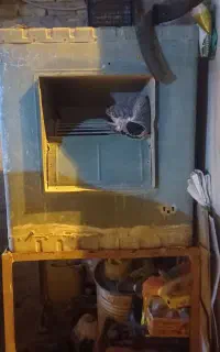 کولربرفاب ۵۵۰۰