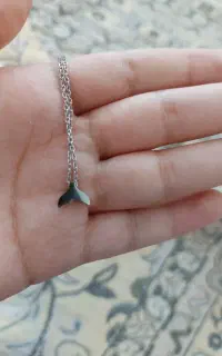 بدلیجات استیل رنگ ثابت