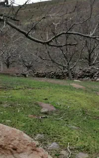 تیم برای مسابقه فوتسال سالن یا چمن مصنوعی