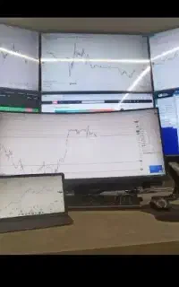 درآمد روزانه ۲ تا ۱۰ میلیون تومان